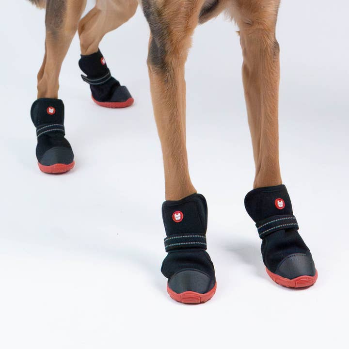 Bottes pour chiens Ren Winter pour la vente par Silver Paw
