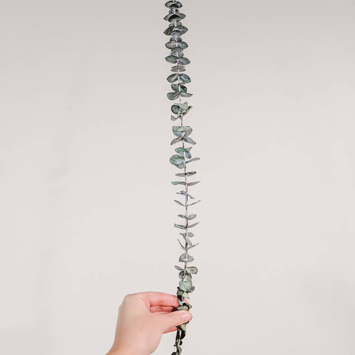 Eucalypt Co. – Planta artificial por atacado – Caules Preservados - Médio