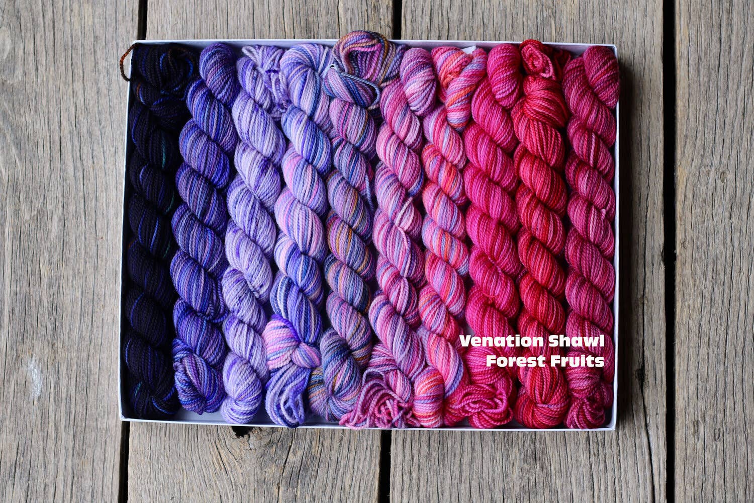 Koigu Wool Designs – wholesale Knitting/Crochet Supplies – Venation Shawl Kits - Pencil Boxes x Ambah 13