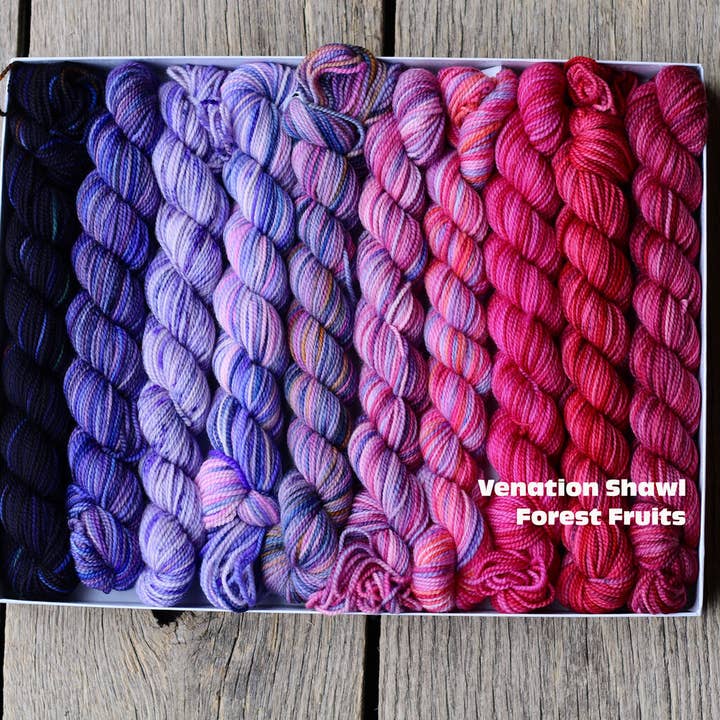 Koigu Wool Designs - Wholesale Brei- en haakbenodigdheden - Venation Sjaal Kits - Potloden Dozen x Ambah13