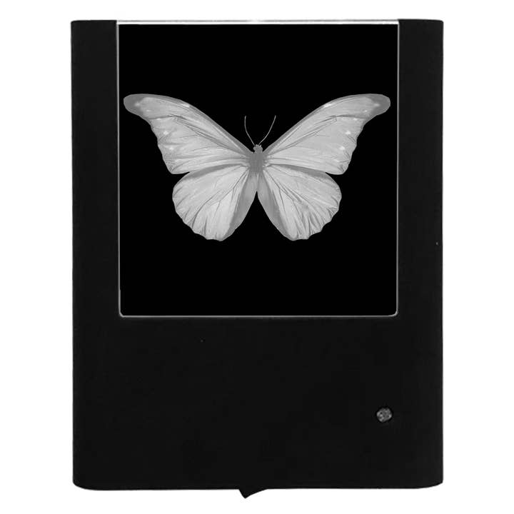 Papillon monarque gravé pour la vente par Nightlight Studio
