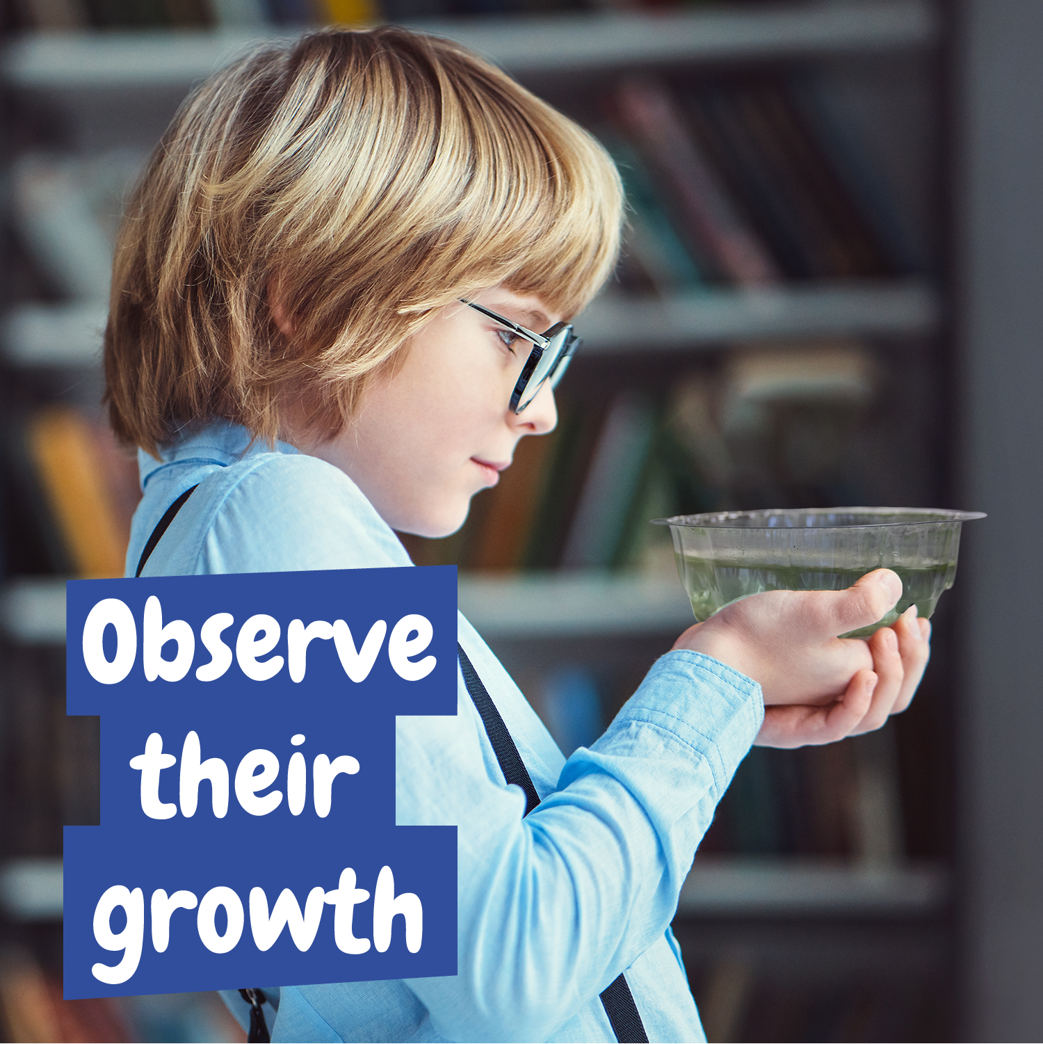 Science4you - Wholesale Toy Set - Kids - Artemias Aqua Creatures - Toy for Kids (7 languages)4