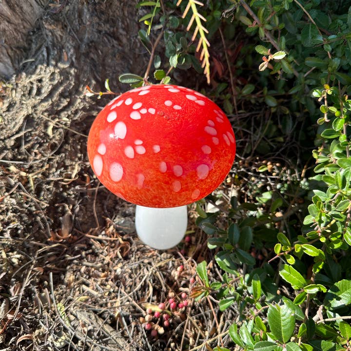 ApricotMint - Wholesale Garden Gnome - 8" Art Glass White button Mushroom (Copy) (Copy)