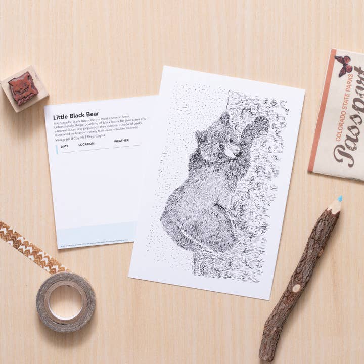 Black Bear Cub Art for wholesale by Coy Ink Studio