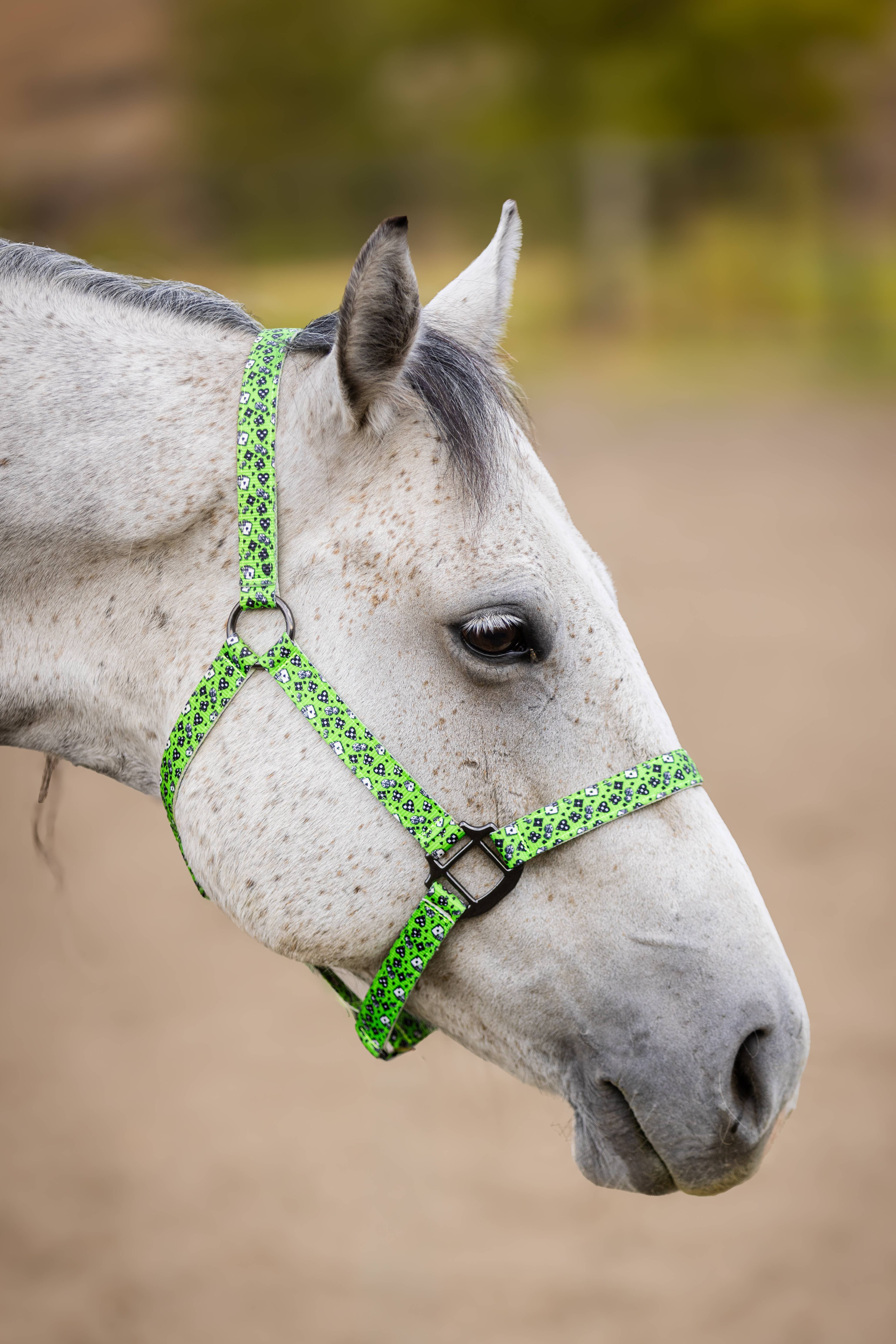 Schulz Equine - Wholesale Horseback Riding Gear - Nylon Halter - Horse Size26