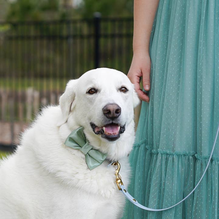 Duke's Dog Co. - Wholesale Pet Bow Tie - Dog - Dog Bow Tie | Sage Satin | Wedding Dog Bow 1