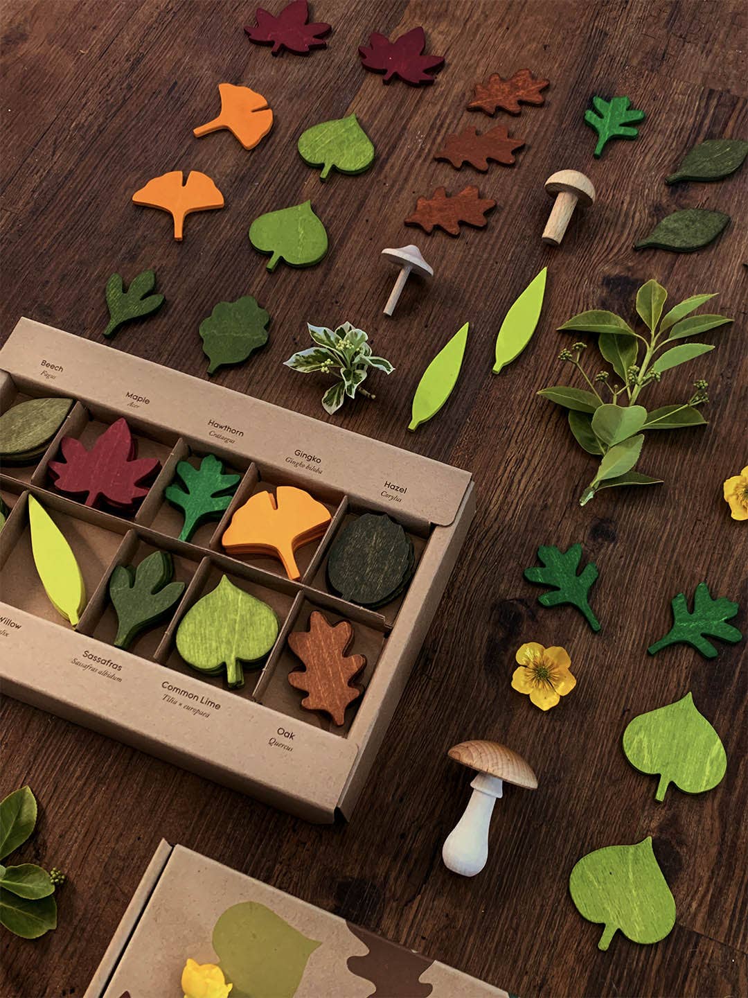 Living Refinery - Wholesale Houten speelgoed - Kinderen - [NIEUWE PRIJS] Moon Picnic - Bosbladeren7