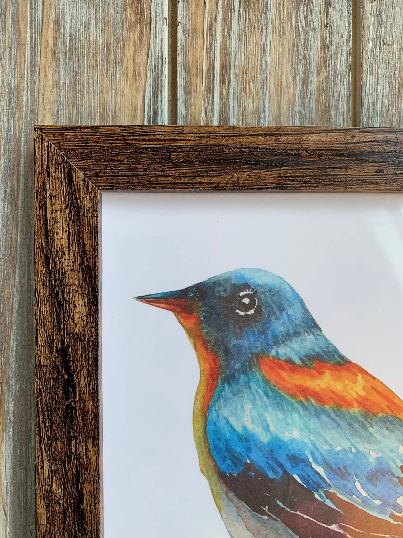 Magnifique Hearts – Großhandel Kunstdruck – Niedliche ornithologische Drucke, 8x8 Zoll, Vogeldrucke2