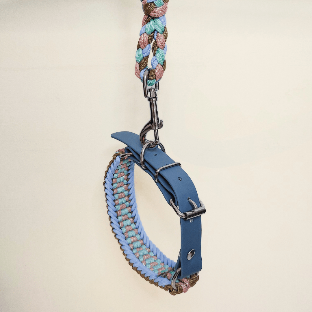 Truffe & Flair - Wholesale Pet Collar - Dog - Braided dog collar - Biothane/Paracord - Sky blue5