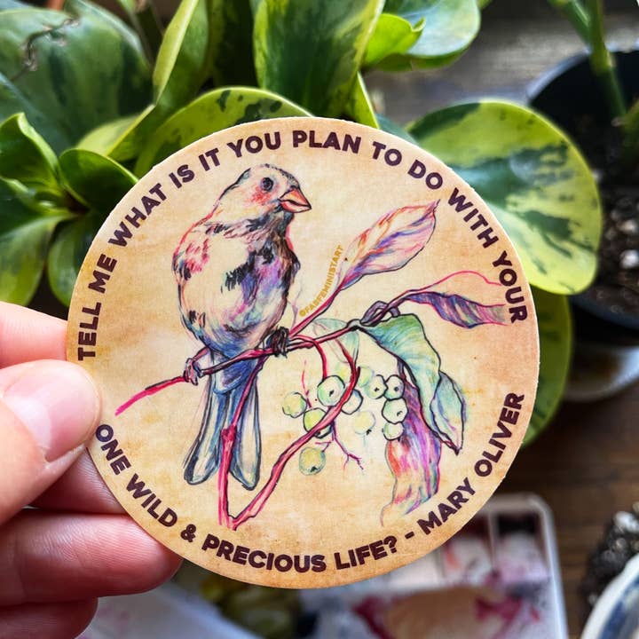 Fabulously Feminist - Wholesale Sticker - Feminist Sticker: Mary Oliver quote