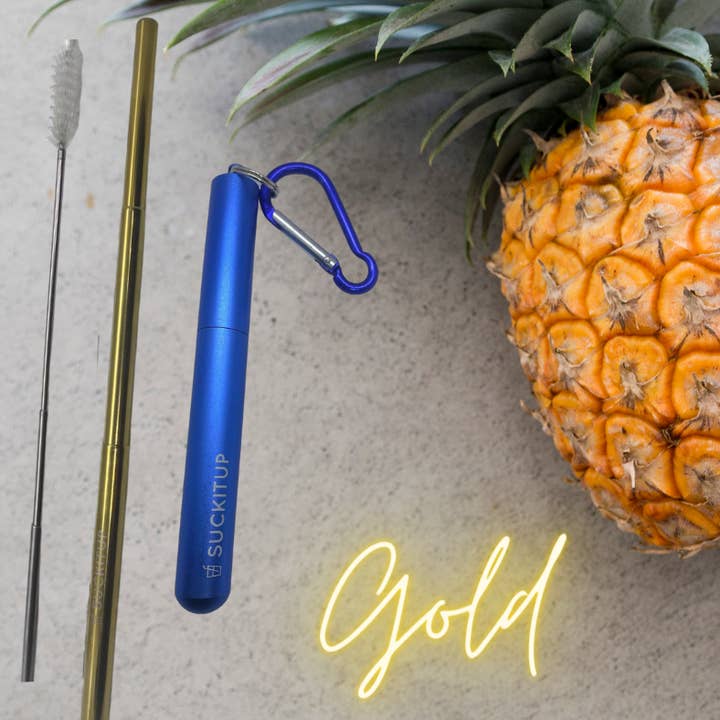 Suck It Up Straws - Wholesale Drinking Straw - Telescopic Metal Straws with Keyring Case & Cleaning Brush