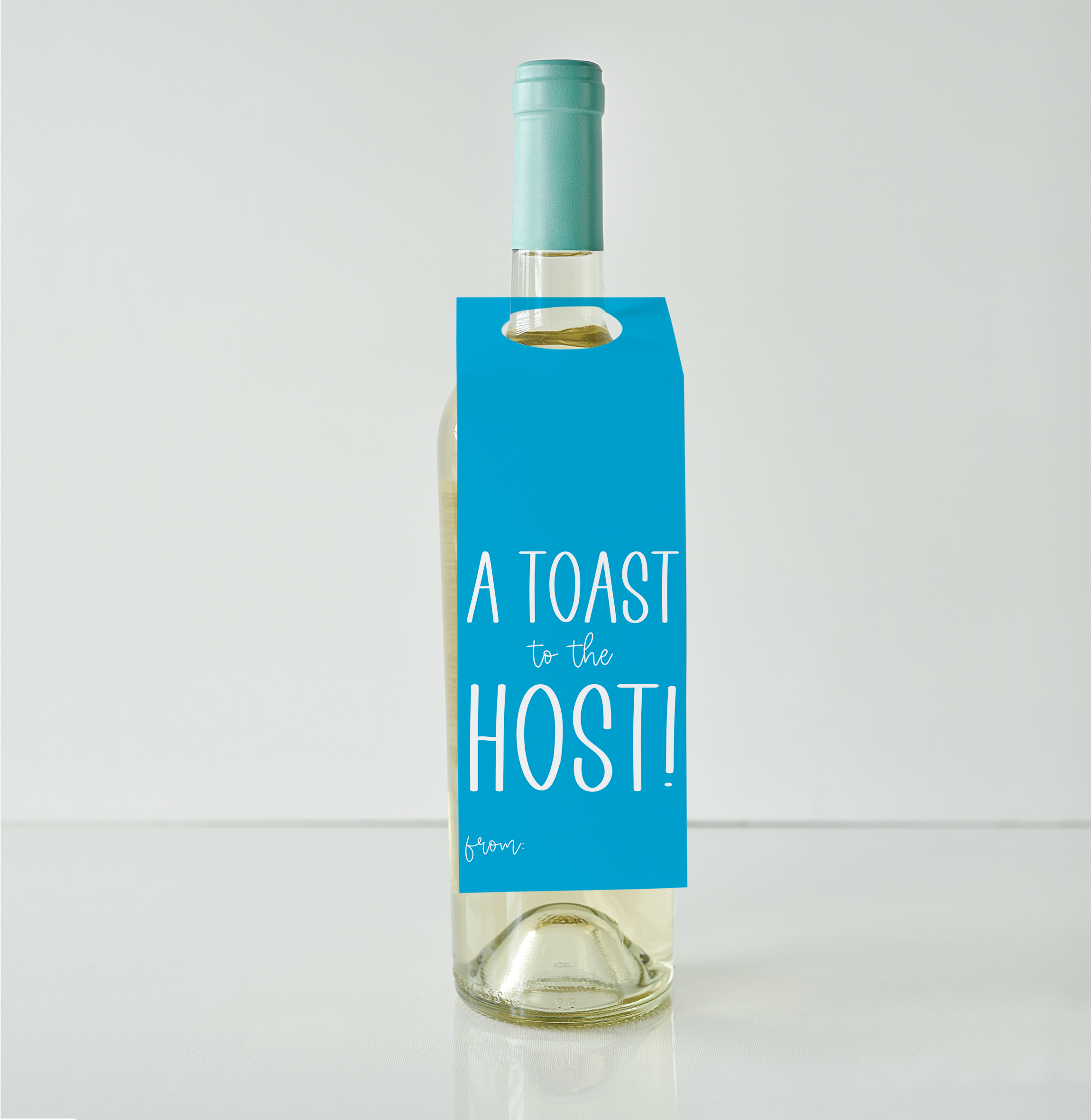 Note Worthy Paper Place - Wholesale Gift Tag - Toast to the Host Wine & Spirit Tag |  Bottle Tag1