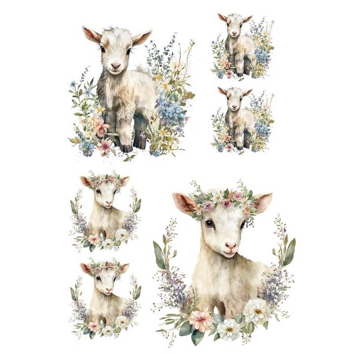 Atiladecor, Artesanato Lda - Wholesale Craft Supplies - Transfer Cabritinha