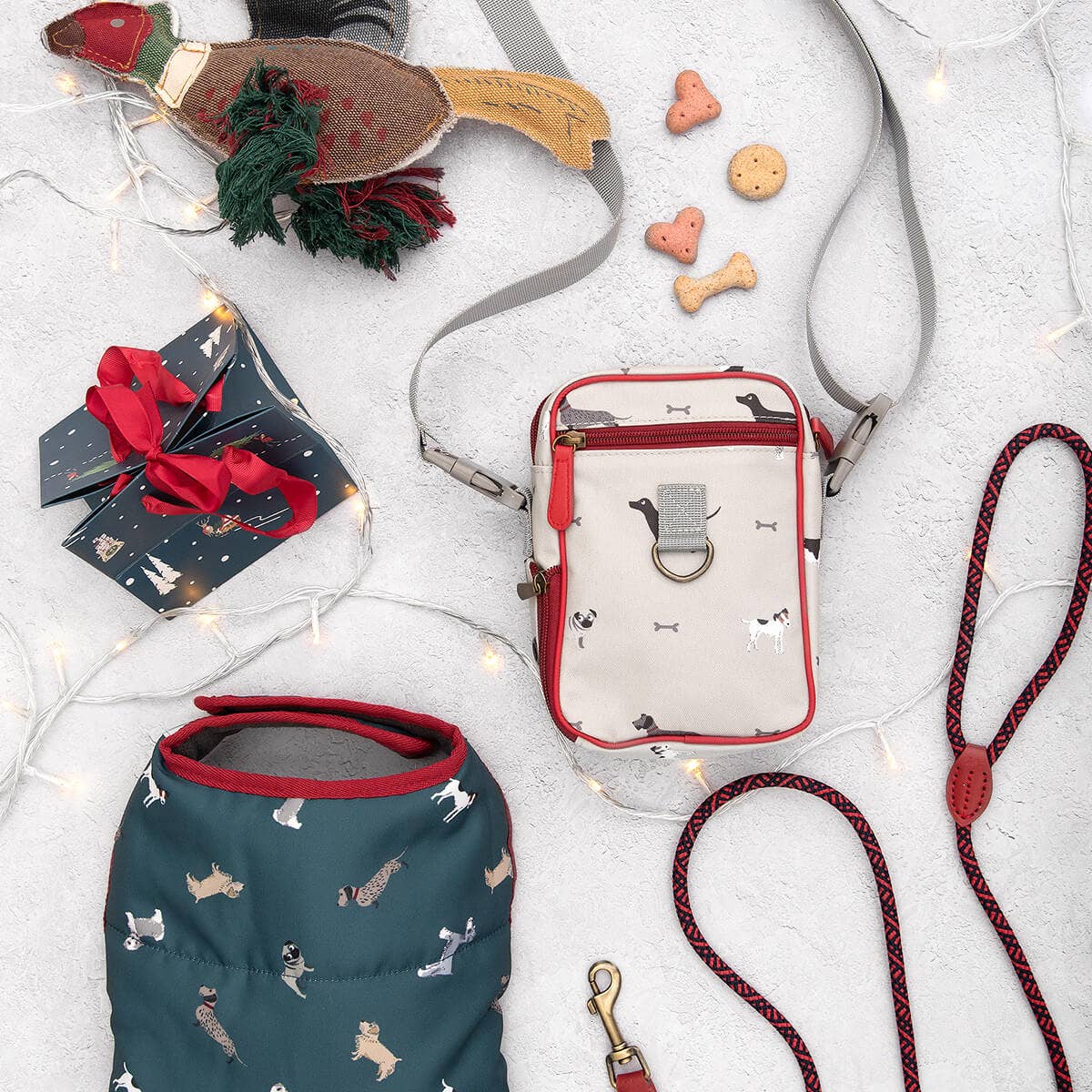 Sophie Allport - Wholesale Pet Cleaning Supplies - Woof Dog Walking Bag2