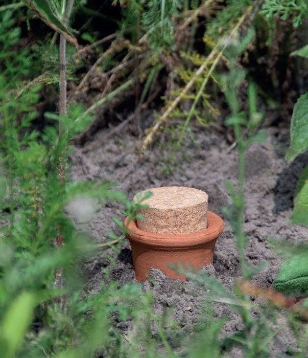 NACH - Wholesale Watering Can - Olla Underground Watering Bottle, Small2