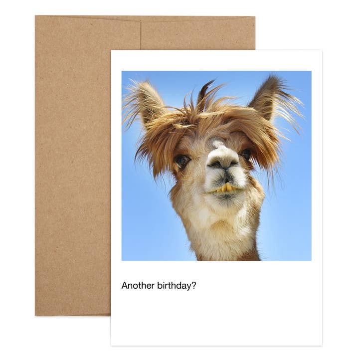 Sem Prob-llama por atacado de Salty Dog Publishing