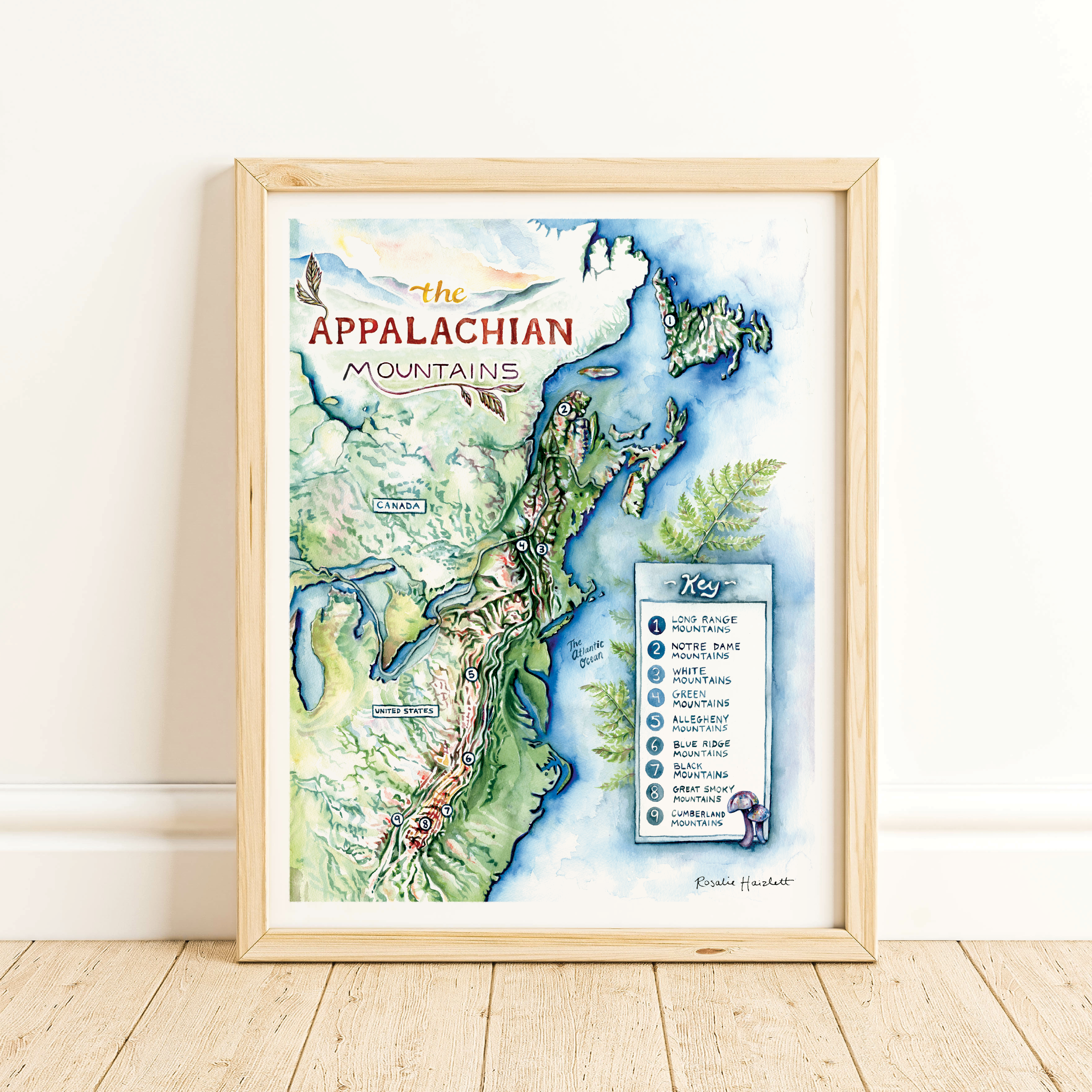 Rosalie Haizlett Illustration - Wholesale Art Print - Appalachian Mountains Map - Watercolor Art Print1