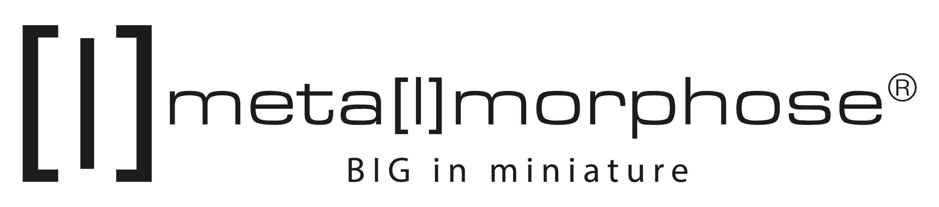 Anew International Corp. - Wholesale Keychain - Unisex - RHINO KEYRING (WHITE)6