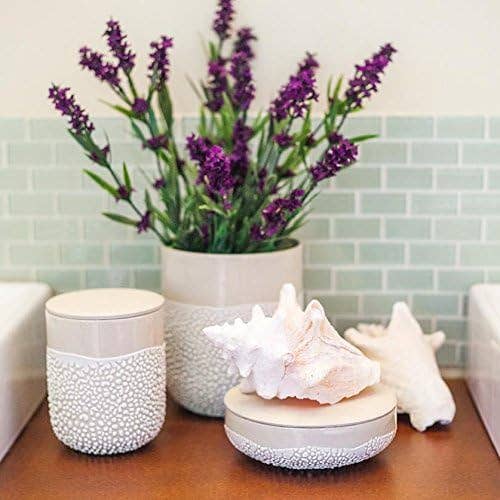 Hosley - Wholesale Decorative Box - Hosley® Set of 4, Lichen Box 5in  Ivory1