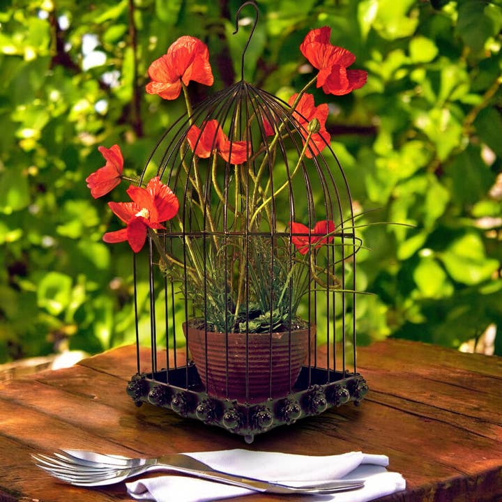 Wilco Home - Wholesale Bird house - Desert Rose Design Bird Cage With Hook/Removeable Tray5