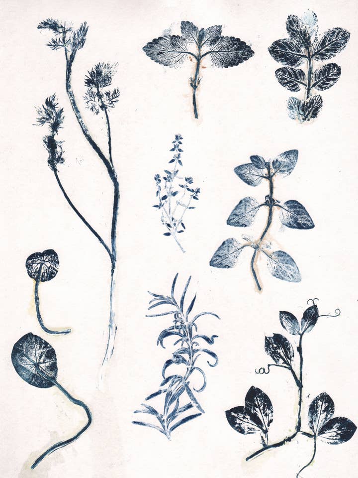 Postal A5 Hierbas Azules para Jardín para venta al por mayor de PERNILLE FOLCARELLI