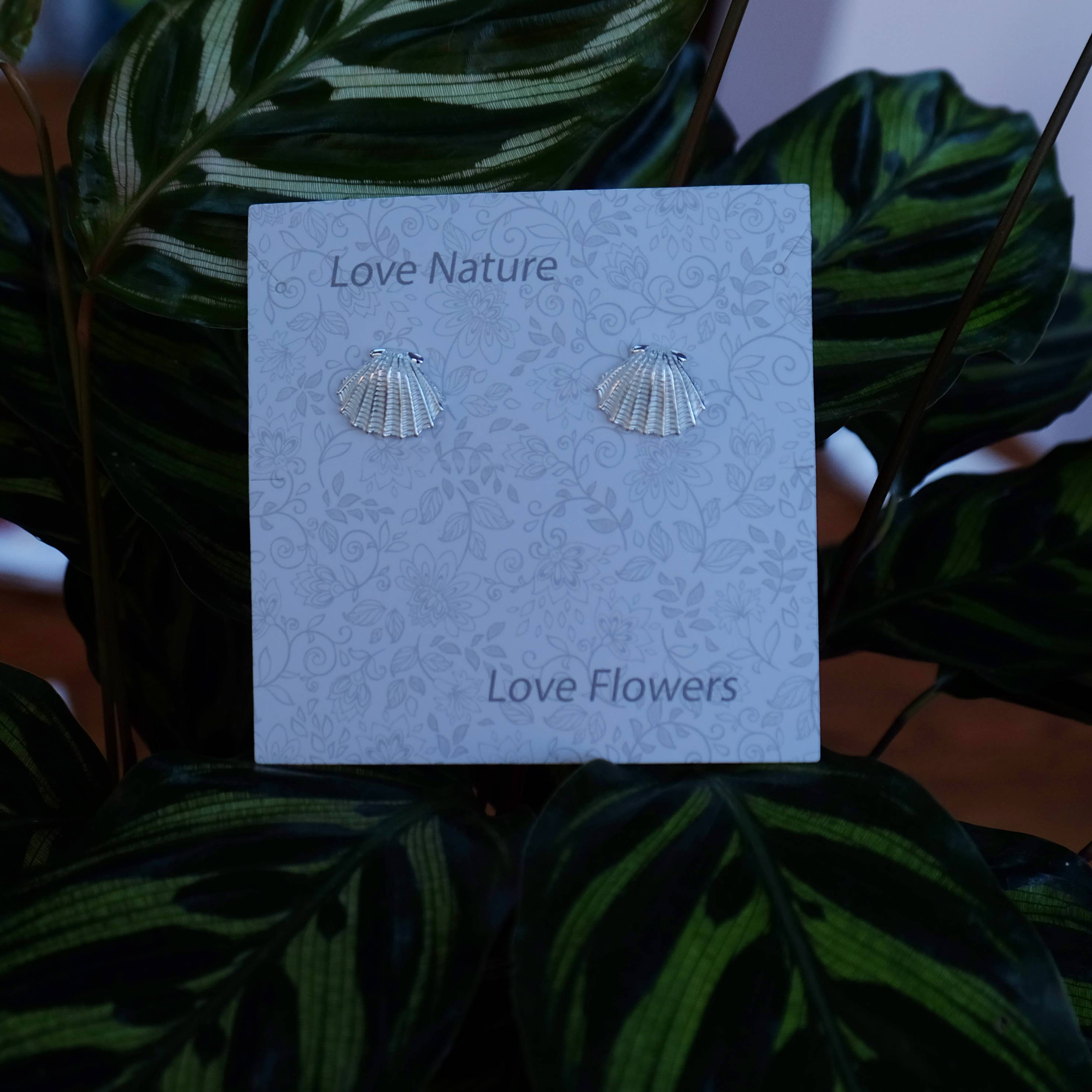 Alexander Thurlow & Co Ltd - Vente Clous d'oreille - Boucles d'oreilles à tige en forme de coquille de palourde en métal argenté2