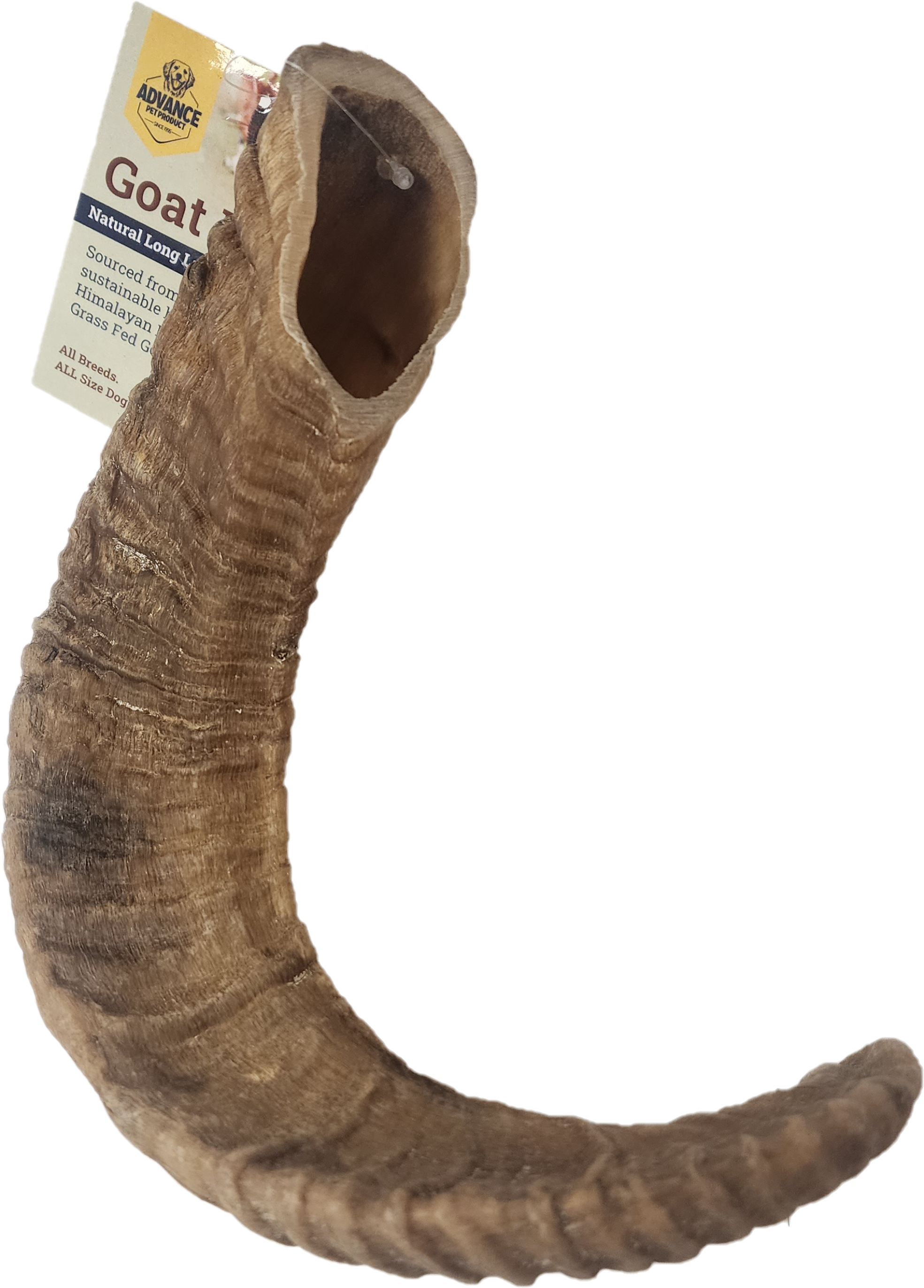 Advance Pet Products - Wholesale Pet Treats - Dog - Goat Horns1