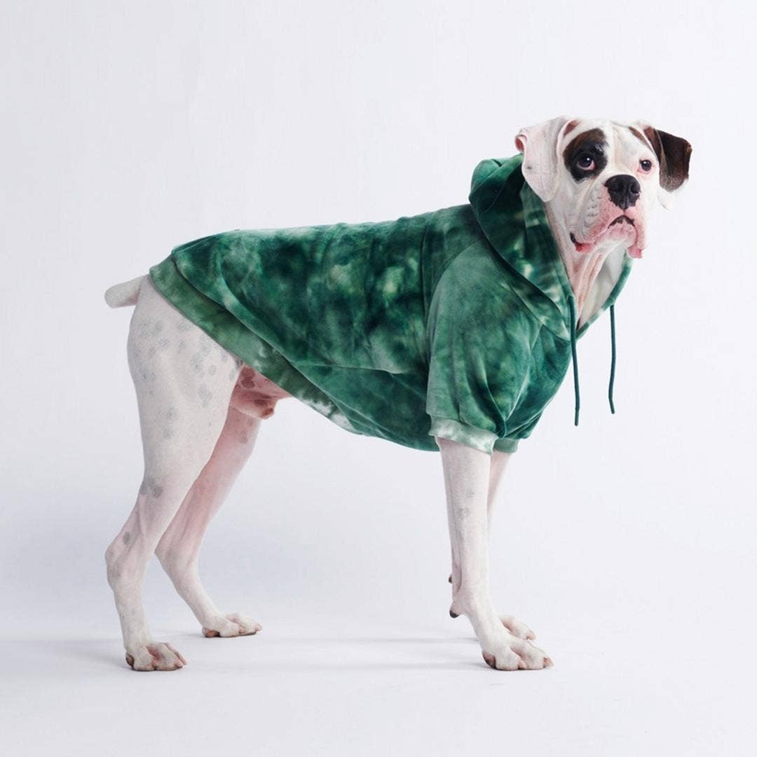 Spark Paws - Wholesale Pet Hoodie - Dog - Velvet Dog Hoodie - Emerald Green1
