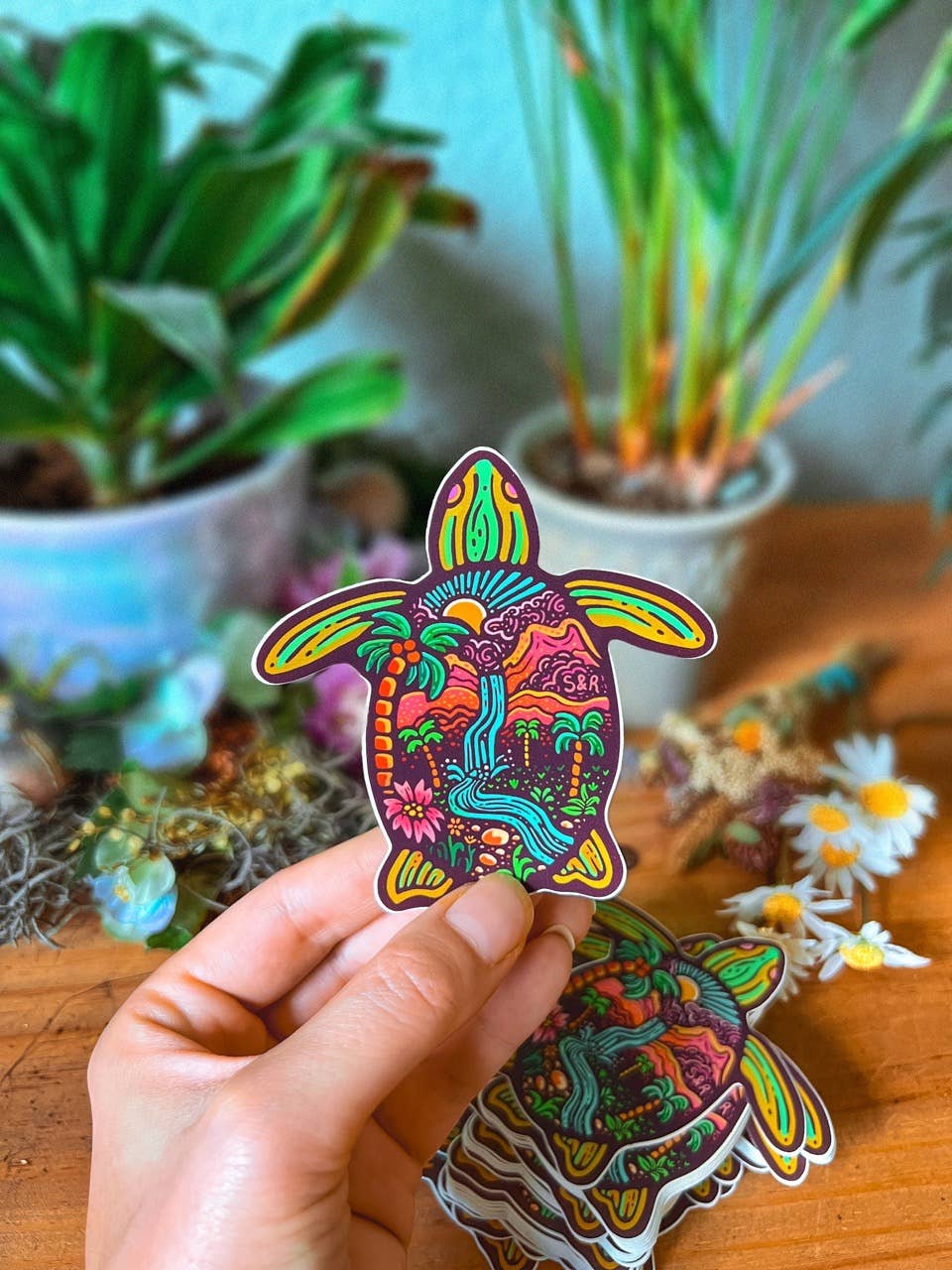 SeeknRevel – Großhandel Aufkleber – Meeresschildkröte - Aufkleber1