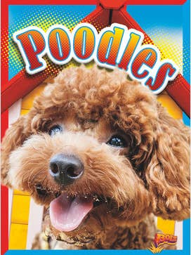 Pudel für den Großhandel von Black Rabbit Books