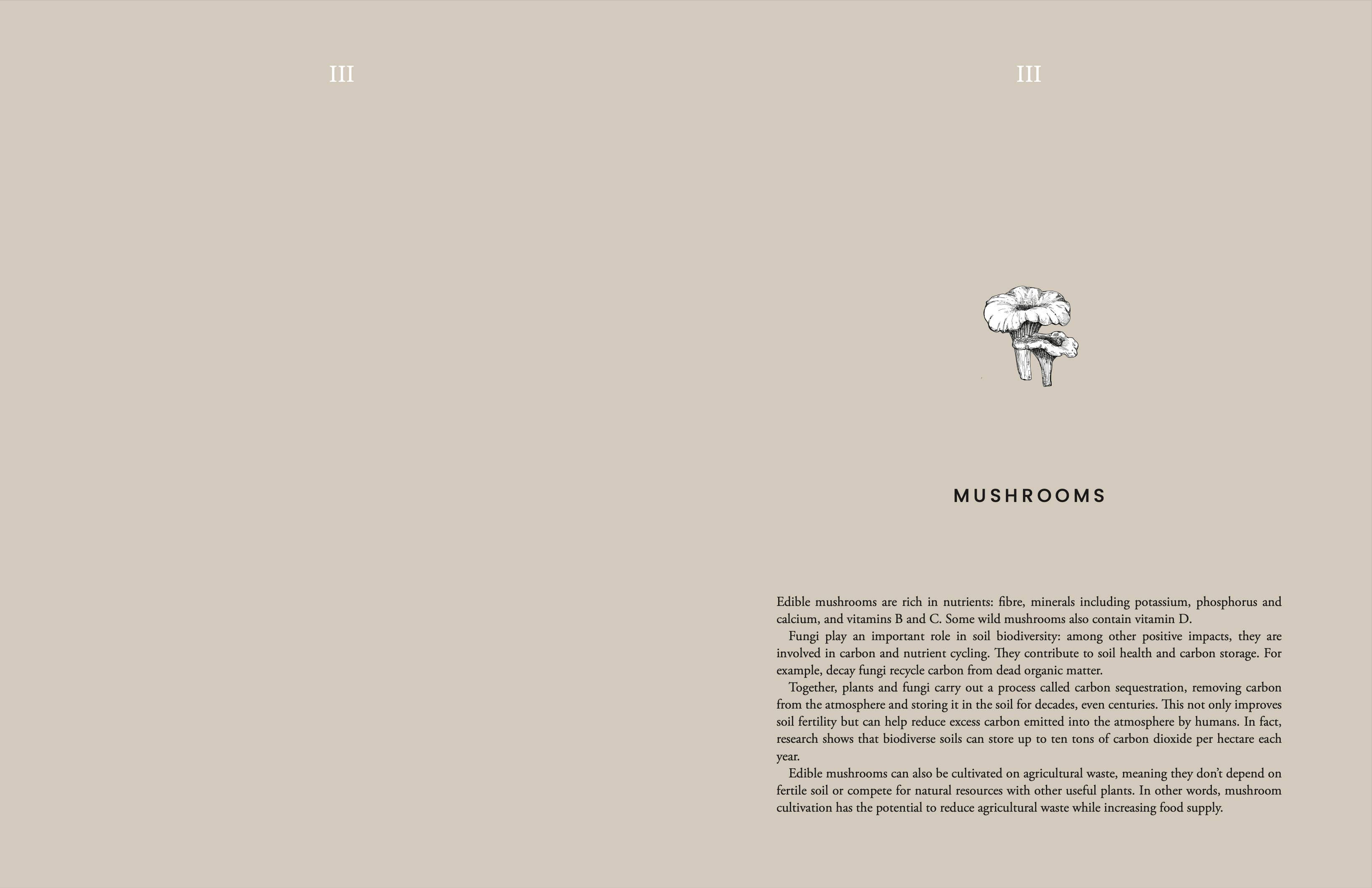 Cozy Publishing - Wholesale Cookbooks & Food - Cooking Sustainably2