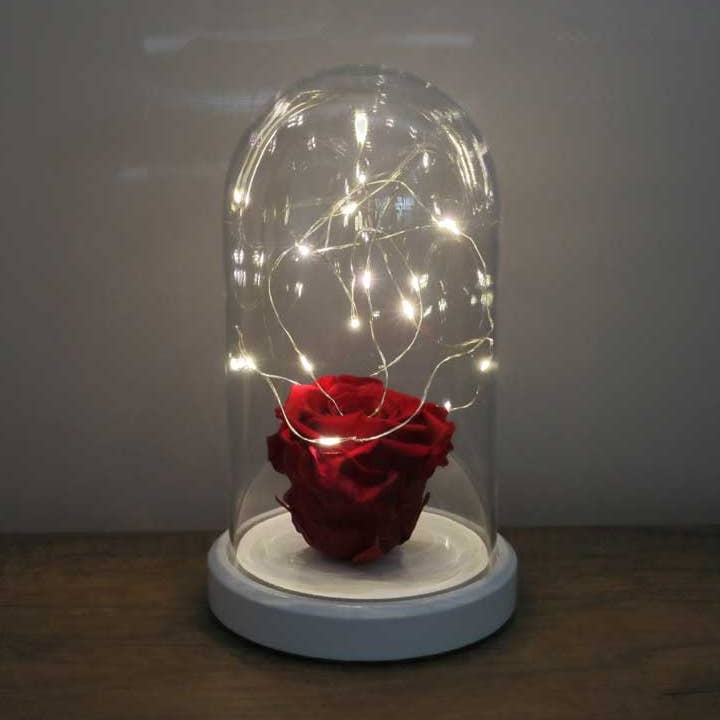 Red Fade Rose Light Lantern Lamp for wholesale by STUDIO BYLAMP