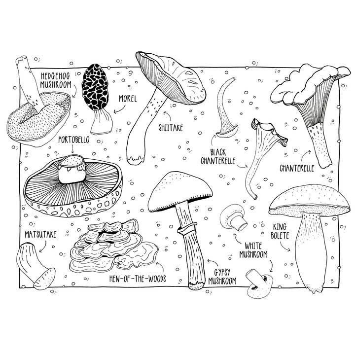 Pen+Pine - Vendita all'ingrosso Cartoline - Cartoline da colorare Funghi