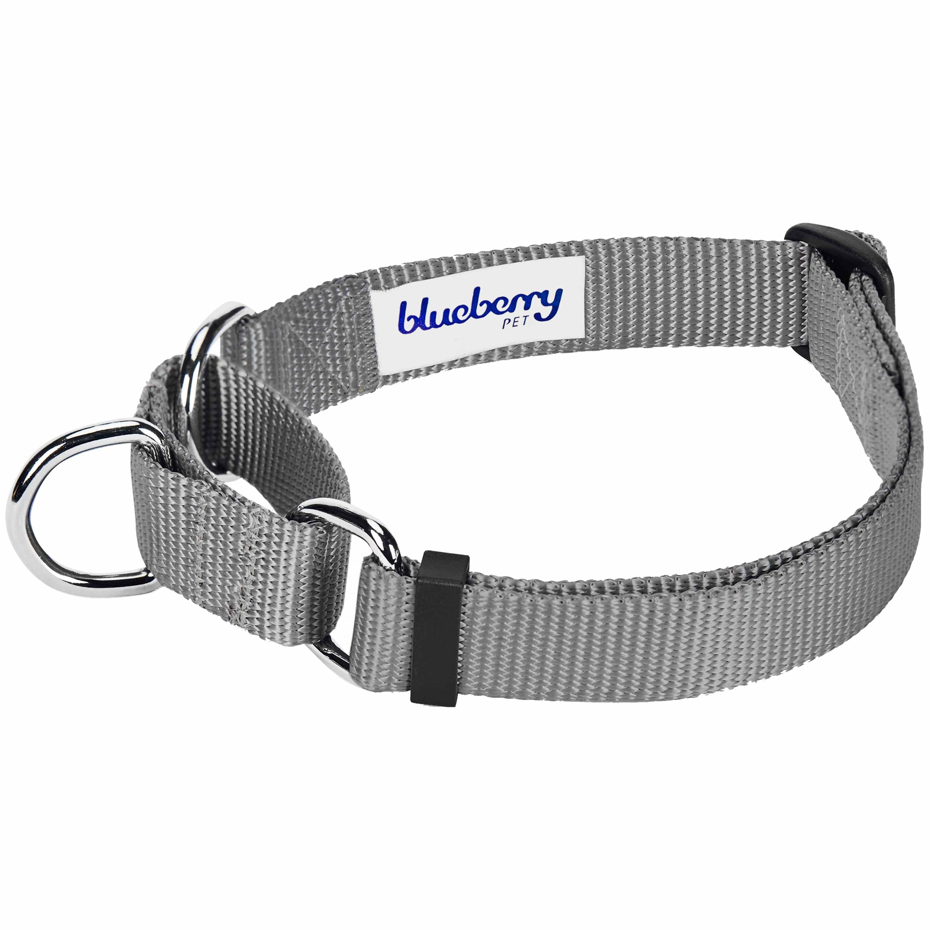 Blueberry Pet – Großhandel Haustierhalsband – Hund – 4 Farben, Klassisches Martingale-Hundehalsband7