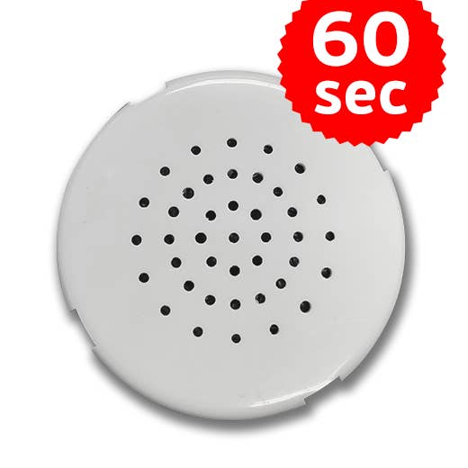 BEARegards, LLC - Wholesale Electronic Toy - Kids & Baby - 60 second voice recorder