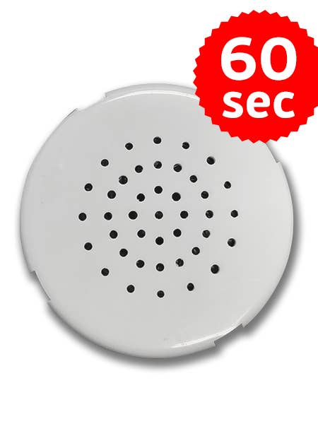 60 second voice recorder for wholesale by BEARegards, LLC