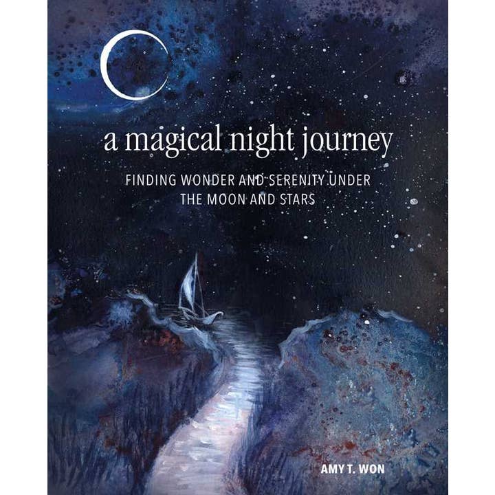 Magical Night Journey by Amy T Won for wholesale by Simon & Schuster