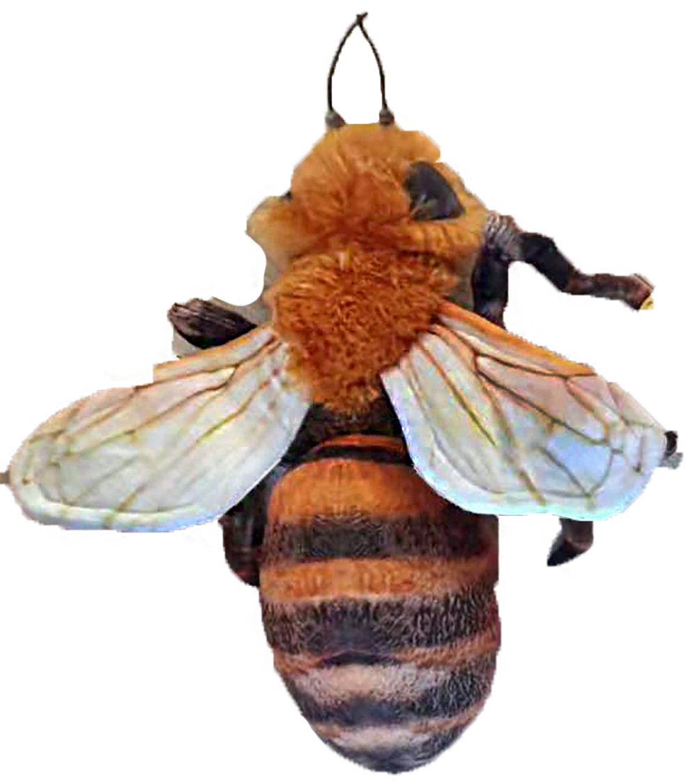 Texas Toy Distribution – wholesale Stuffed/plush toy – Kids & baby – Bee 14" Plush Insect Stuffed Animal2