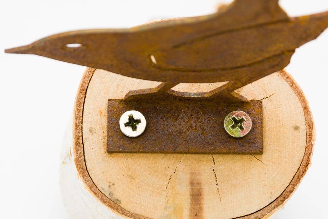 Elegant Garden Design - Vendita all'ingrosso Ornamenti/decorazioni per esterni - Scheda Scricciolo Invernale9