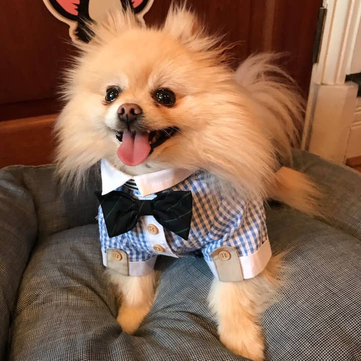 PetLondon – wholesale Pet shirt – Dog – Party Bow Tie Dog Shirt