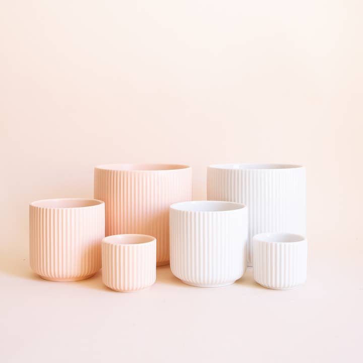 Jungle Club - Wholesale Plant Pot - Lucy Planter | White