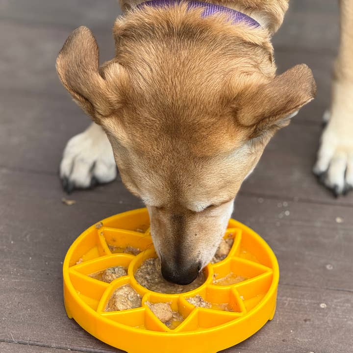 Sunflower Design eTray Enrichment Slow Feeder Tray for Dogs - Yellow for wholesale on Faire9