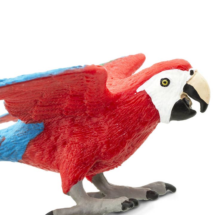 Safari Ltd. - Wholesale Figurine Toy - Kids - Green-Winged Macaw Figurine Toy3