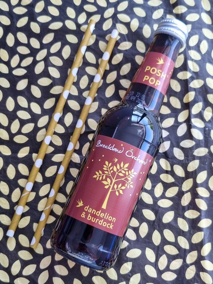 Dandelion and Burdock Posh Pop 12 x 275ml for wholesale by Breckland Orchard
