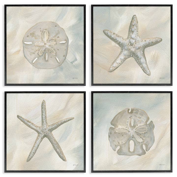 Art encadré d'étoiles de mer et de dollars des sables neutres pour la vente par Stupell Industries