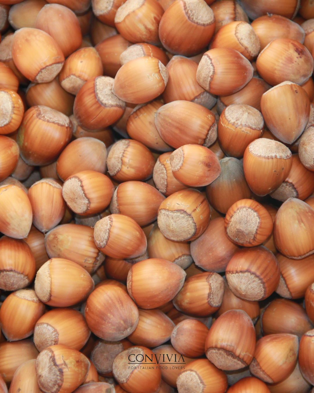 CONVIVIA for italian food lovers - Wholesale Notenboter - Hazelnootcrème 30% en cacao 1kg3