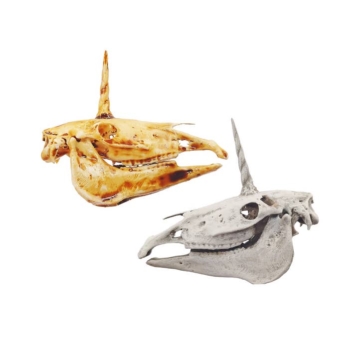 Replica van eenhoornschedel voor wholesale door The Scale Grail