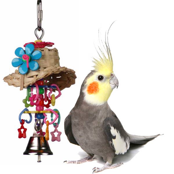 Super Bird Creations, LLC – Großhandel Vogelschaukel/-spielzeug – Bonnie Bell