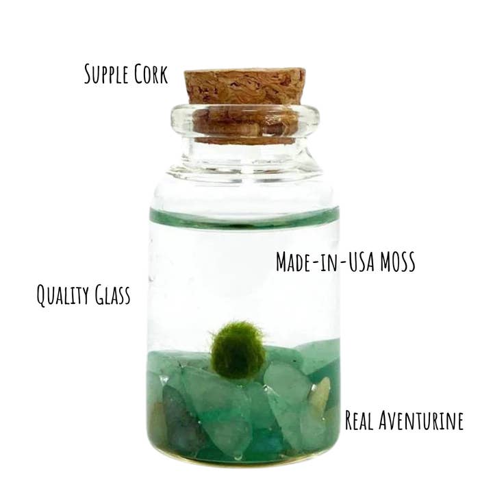 Moss Amigos | Moss Ball Terrariums - Wholesale Live Plant - Tiny Marimo Moss Ball Terrarium with Aventurine Gemstones3