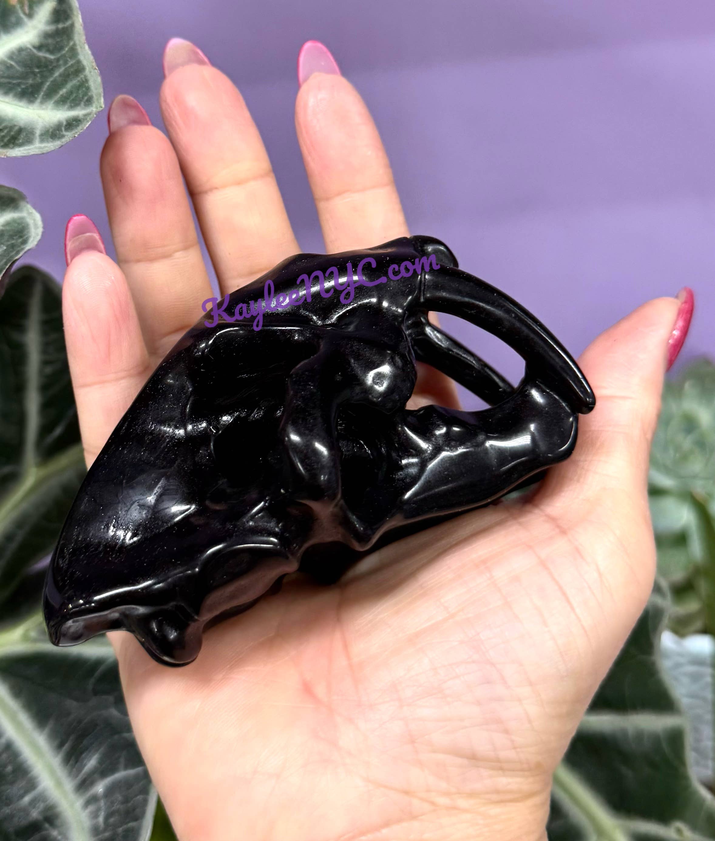 KayleeNYC - Wholesale Spiritual Stone/Crystal - 9cm Mix Natural Crystals Saber Tooth Skull Healing8